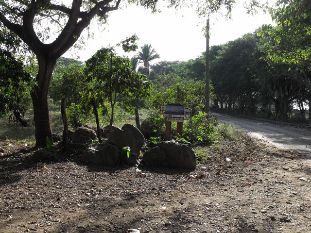 Petroglyphs- 05